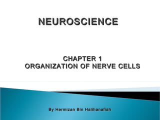 NEUROSCIENCENEUROSCIENCE
CHAPTER 1CHAPTER 1
ORGANIZATION OF NERVE CELLSORGANIZATION OF NERVE CELLS
By Hermizan Bin HalihanafiahBy Hermizan Bin Halihanafiah
 