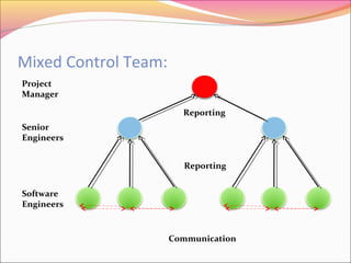 Mixed Control Team:
Project
Manager
Reporting
Senior
Engineers
Reporting
Software
Engineers

Communication

 