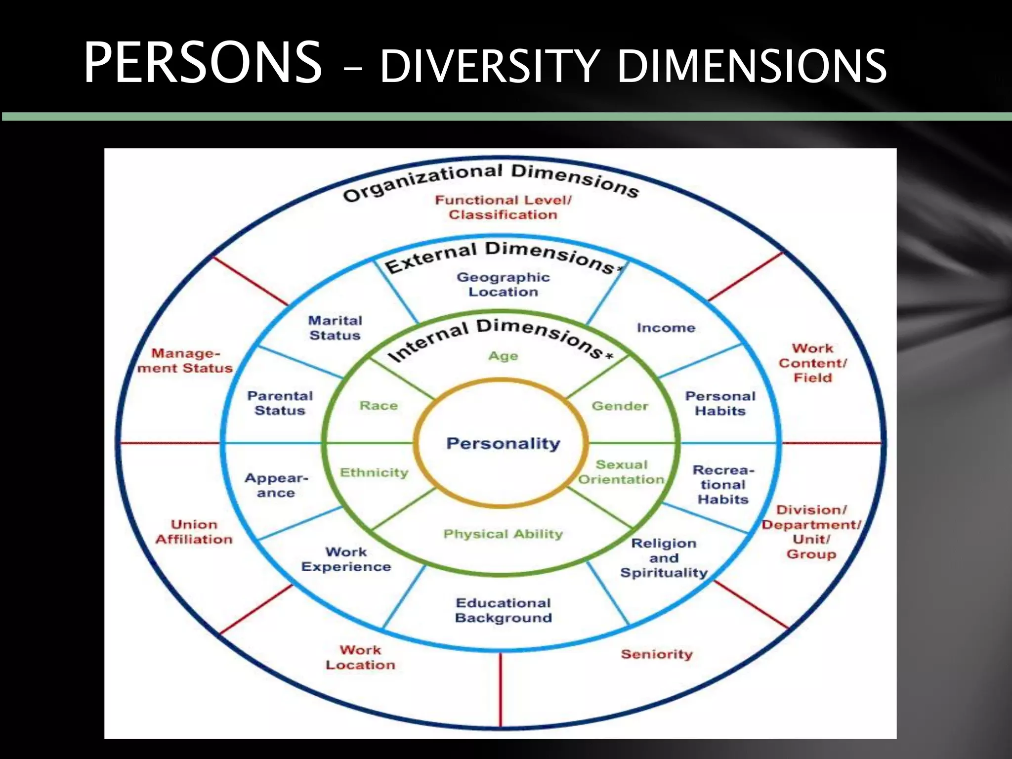 PERSONS – DIVERSITY DIMENSIONS
 