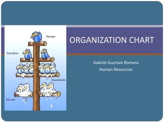 ORGANIZATION CHART
Gabriel Guzman Romero
Human Resources
 