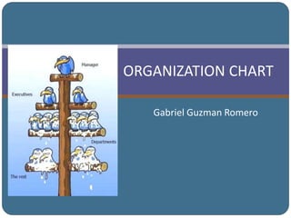 ORGANIZATION CHART
Gabriel Guzman Romero
 