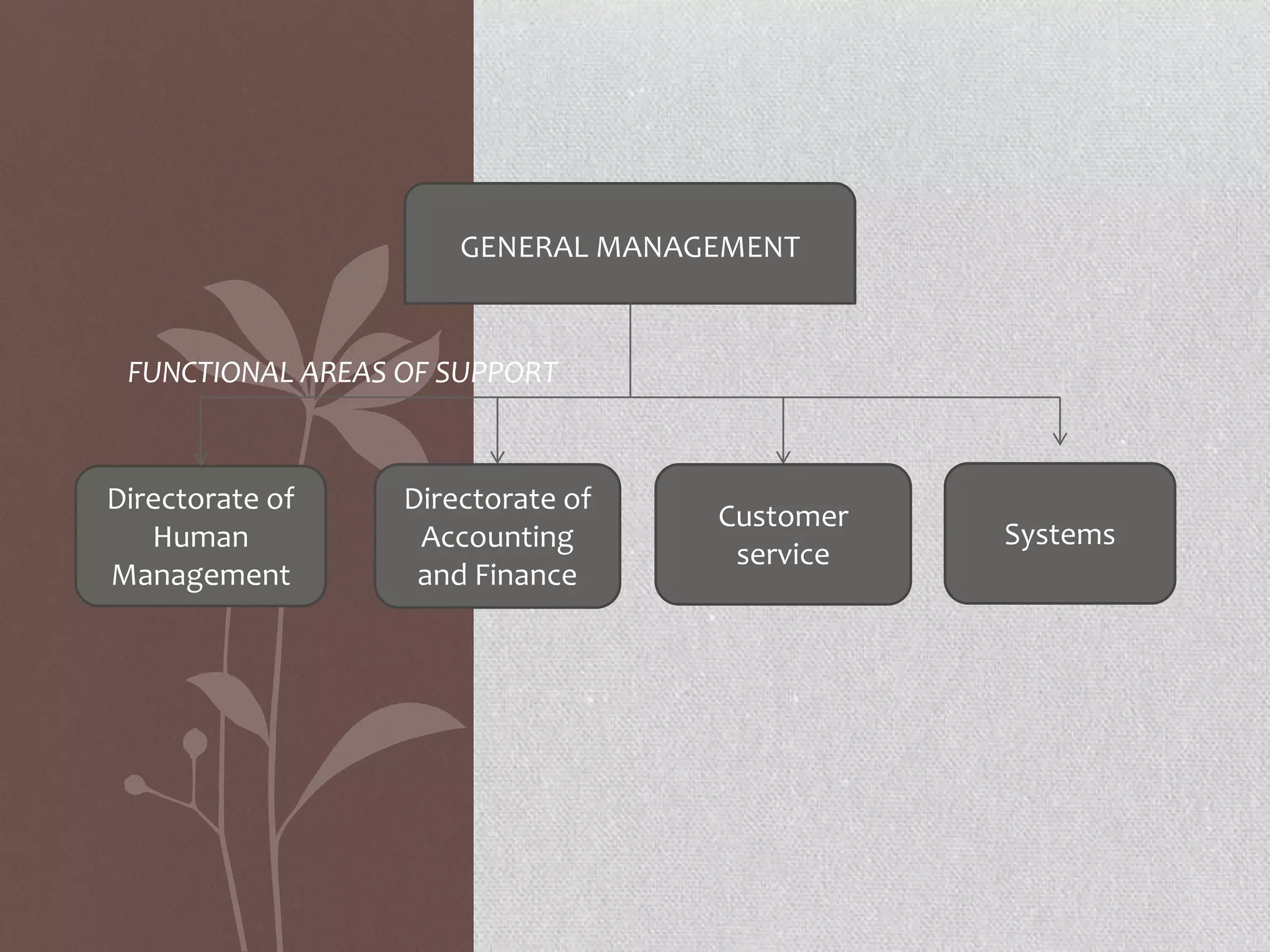 GENERAL MANAGEMENT

FUNCTIONAL AREAS OF SUPPORT

Directorate of
Human
Management

Directorate of
Accounting
and Finance

Customer
service

Systems

 
