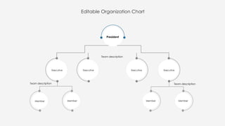Comprehensive Editable Organizational Chart Templates for Business ...