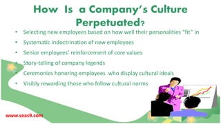 How Is a Company’s Culture
Perpetuated?
• Selecting new employees based on how well their personalities “fit” in
• Systematic indoctrination of new employees
• Senior employees’ reinforcement of core values
• Story-telling of company legends
• Ceremonies honoring employees who display cultural ideals
• Visibly rewarding those who follow cultural norms
www.seas9.com
 