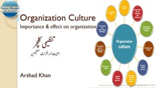 Organization culture and its impact