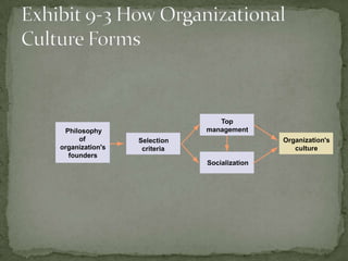 Top
 Philosophy                  management
     of          Selection                   Organization's
organization's    criteria                      culture
  founders
                             Socialization
 