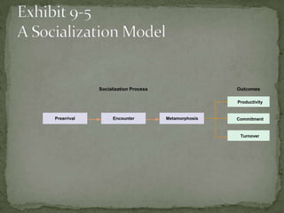 Socialization Process                   Outcomes

                                                     Productivity


Prearrival        Encounter          Metamorphosis   Commitment


                                                      Turnover
 