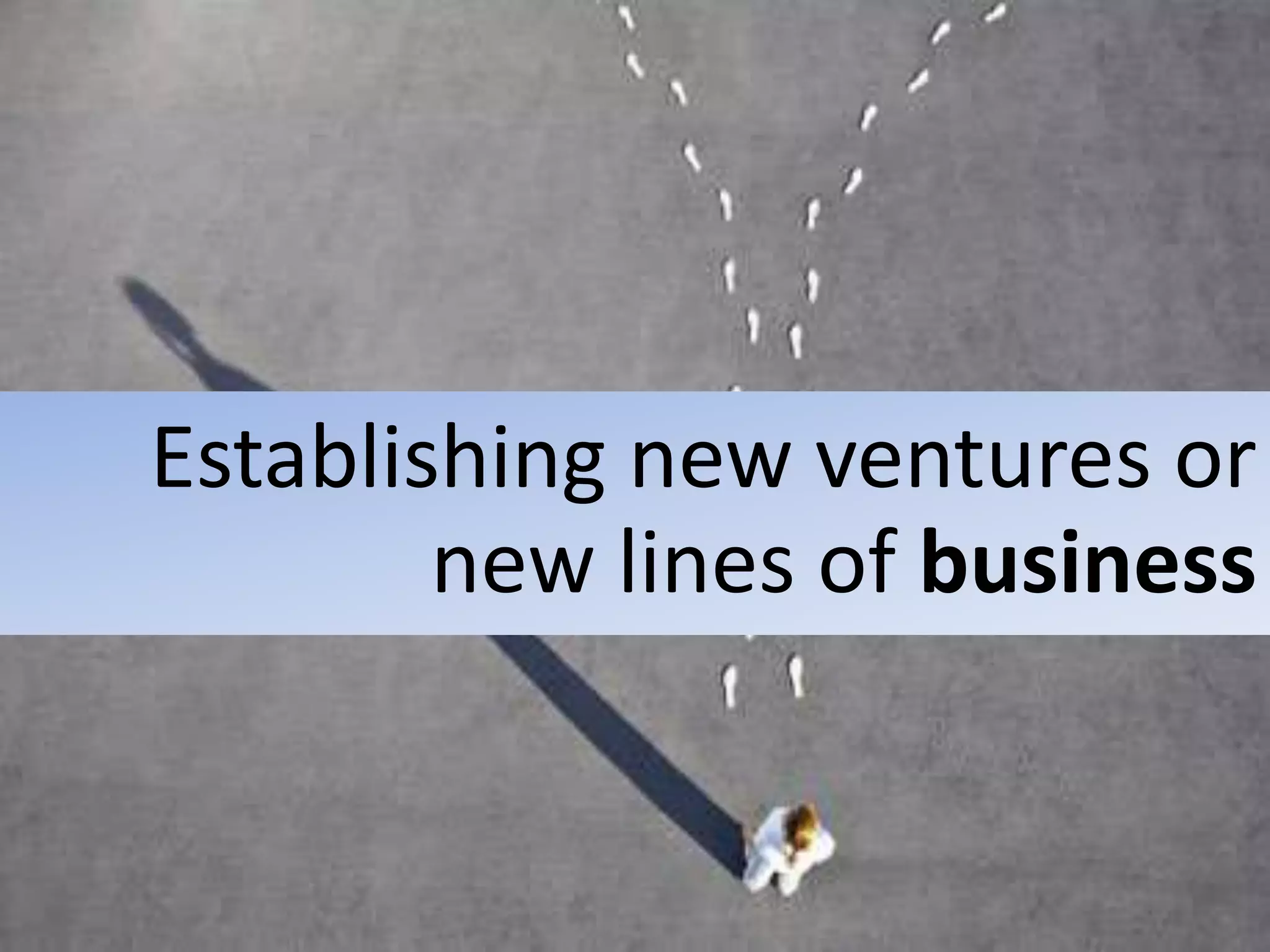 Establishing new ventures or
new lines of business