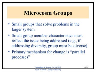 Cummings & Worley, 7e (c) 2001 
South-Western College Publishing 
13-120 
Microcosm Groups 
• Small groups that solve problems in the 
larger system 
• Small group member characteristics must 
reflect the issue being addressed (e.g., if 
addressing diversity, group must be diverse) 
• Primary mechanism for change is “parallel 
processes” 
 