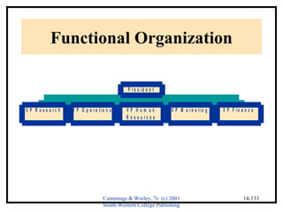 Cummings & Worley, 7e (c) 2001 
South-Western College Publishing 
14-133 
Functional Organization 
V P R e s e a r c h V P O p e r a t i o n s V P H u m a n 
R e s o u r c e s 
V P M a r k e t i n g V P F i n a n c e 
P r e s i d e n t 
 