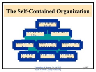 The Self-Contained Organization 
Cummings & Worley, 7e (c) 2001 
South-Western College Publishing 
14-137 
C h i e f F i n a n c i a l 
O f f i c e r 
V P R e s e a r c h 
D i v i s i o n M a n a g e r 
A s i a 
V P H u m a n 
R e s o u r c e s 
V P O p e r a t i o n s V P S a l e s a n d 
M a r k e t i n g 
D i v i s i o n M a n a g e r 
N o r t h A m e r i c a 
D i v i s i o n M a n a g e r 
E u r o p e 
C h i e f E x e c u t i v e 
O f f i c e r 
 