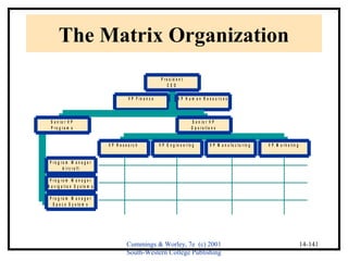 The Matrix Organization 
S e n i o r V P 
O p e r a t i o n s 
P r e s i d e n t 
C E O 
Cummings & Worley, 7e (c) 2001 
South-Western College Publishing 
14-141 
V P F i n a n c e V P H u m a n R e s o u r c e s 
S e n i o r V P 
P r o g r a m s 
P r o g r a m M a n a g e r 
A i r c r a f t 
P r o g r a m M a n a g e r 
N a v i g a t i o n S y s t e m s 
P r o g r a m M a n a g e r 
S p a c e S y s t e m s 
V P R e s e a r c h V P E n g i n e e r i n g V P M a n u f a c t u r i n g V P M a r k e t i n g 
 