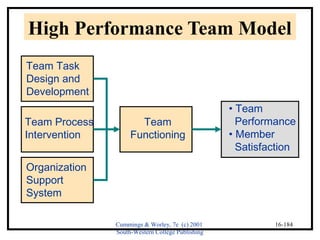 High Performance Team Model 
Cummings & Worley, 7e (c) 2001 
South-Western College Publishing 
16-184 
Team Task 
Design and 
Development 
Team Process 
Intervention 
Organization 
Support 
System 
Team 
Functioning 
• Team 
Performance 
• Member 
Satisfaction 
 