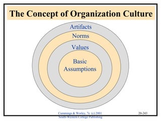 The Concept of Organization Culture 
Artifacts 
Norms 
Values 
Cummings & Worley, 7e (c) 2001 
South-Western College Publishing 
20-243 
Basic 
Assumptions 
 