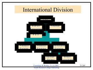 International Division 
I n t e r n a t i o n a l 
D i v i s i o n 
Cummings & Worley, 7e (c) 2001 
South-Western College Publishing 
21-269 
H u m a n 
R e s o u r c e s 
F i n a n c e 
R & D 
P r o d u c t 
D i v i s i o n 
P r o d u c t 
D i v i s i o n 
E u r o p e 
( S a l e s ) 
B r a z i l 
( S u b s i d i a r y ) 
C E O 
 