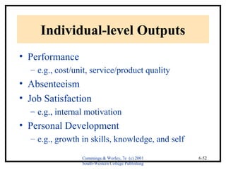 Cummings & Worley, 7e (c) 2001 
South-Western College Publishing 
6-52 
Individual-level Outputs 
• Performance 
– e.g., cost/unit, service/product quality 
• Absenteeism 
• Job Satisfaction 
– e.g., internal motivation 
• Personal Development 
– e.g., growth in skills, knowledge, and self 
 