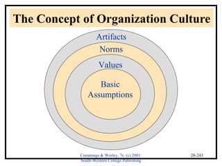 Organization development and change