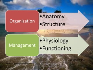 •Anatomy
Organization
•Structure
•Physiology
Management
•Functioning
Waldo:1955
Source: www.ginandjar.com
jo_bitonio@yahoo.com

 
