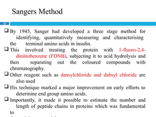 Sangers Method
12
 By 1945, Sanger had developed a three stage method for
identifying, quantitatively measuring and characterising
the terminal amino acids in insulin.
 This involved treating the protein with 1-fluoro-2,4-
dinitrobenzene (FDNB), subjecting it to acid hydrolysis and
then separating out the coloured compounds with
chromatography.
 Other reagent such as dansylchloride and dabsyl chloride are
also used
 His technique marked a major improvement on early efforts to
determine end group amino acids.
 Importantly, it made it possible to estimate the number and
length of peptide chains in proteins which was fundamental
to
 