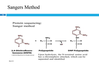 Sangers Method
13
 