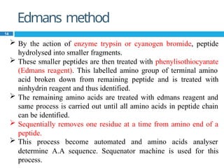 Edmans method
14
 By the action of enzyme trypsin or cyanogen bromide, peptide
hydrolysed into smaller fragments.
 These smaller peptides are then treated with phenylisothiocyanate
(Edmans reagent). This labelled amino group of terminal amino
acid broken down from remaining peptide and is treated with
ninhydrin reagent and thus identified.
 The remaining amino acids are treated with edmans reagent and
same process is carried out until all amino acids in peptide chain
can be identified.
 Sequentially removes one residue at a time from amino end of a
peptide.
 This process become automated and amino acids analyser
determine A.A sequence. Sequenator machine is used for this
process.
 