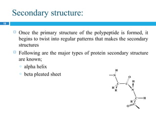 Secondary structure:
19
 Once the primary structure of the polypeptide is formed, it
begins to twist into regular patterns that makes the secondary
structures
 Following are the major types of protein secondary structure
are known;
o alpha helix
o beta pleated sheet
 
