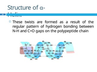 Structure of α-
Helix:
21
 These twists are formed as a result of the
regular pattern of hydrogen bonding between
N-H and C=O gaps on the polypeptide chain
 