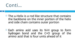 Conti…
22
 The α-Helix is a rod like structure that contains
the backbone on the inner portion of the helix
and side chain contains outer portion
 Each amino acid uses its N-H group to form
hydrogen bond and the C=O group of the
amino acid that is four units ahead of it
 