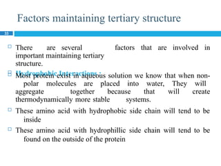 Factors maintaining tertiary structure
33
 There are several
important maintaining tertiary
structure.
 Hydrophobic Interactions :
factors that are involved in
 Most protein exist in aqueous solution we know that when non-
polar molecules are placed into water, They will
aggregate together because that will create
thermodynamically more stable systems.
 These amino acid with hydrophobic side chain will tend to be
inside
 These amino acid with hydrophillic side chain will tend to be
found on the outside of the protein
 