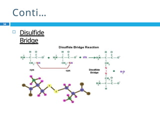 Conti…
34
 Disulfide
Bridge
 