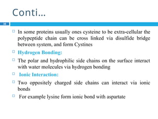 Conti…
35
 In some proteins usually ones cysteine to be extra-cellular the
polypeptide chain can be cross linked via disulfide bridge
between system, and form Cystines
 Hydrogen Bonding:
 The polar and hydrophilic side chains on the surface interact
with water molecules via hydrogen bonding
 Ionic Interaction:
 Two oppositely charged side chains can interact via ionic
bonds
 For example lysine form ionic bond with aspartate
 