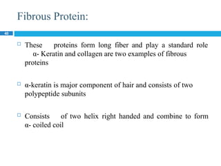 Fibrous Protein:
40
 These proteins form long fiber and play a standard role
α- Keratin and collagen are two examples of fibrous
proteins
 α-keratin is major component of hair and consists of two
polypeptide subunits
 Consists of two helix right handed and combine to form
α- coiled coil
 
