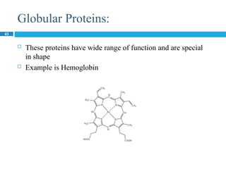 Globular Proteins:
43
 These proteins have wide range of function and are special
in shape
 Example is Hemoglobin
 