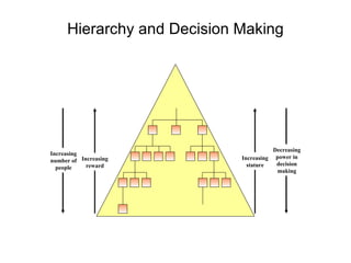 Hierarchy and Decision Making Increasing number of people Increasing reward Increasing stature Decreasing power in decision making 