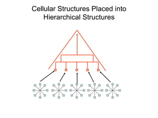 Cellular Structures Placed into Hierarchical Structures 