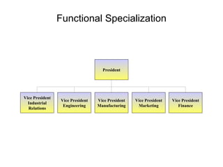Functional Specialization President Vice President Manufacturing Vice President Marketing Vice President Finance Vice President Industrial Relations Vice President Engineering 