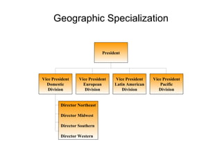 Geographic Specialization President Vice President Latin American Division Vice President Pacific Division Vice President Domestic Division Vice President European Division Director Northeast Director Midwest Director Southern Director Western 