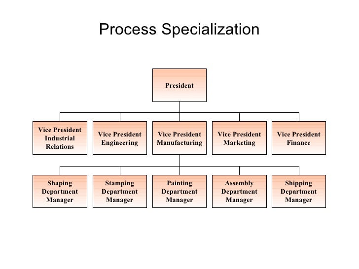 vice president of manufacturing job description
