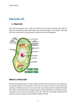 © Biren Daftary
2
Eukaryotic cell
1. Plant Cell
Plant cells are eukaryotic cells or cells with membrane bound nucleus. Generally, plant cells are
larger than animal cells and are mostly similar in size and are rectangular or cube shaped. Plant cells
are similar to animal cells in being eukaryotic and they have similar cell organelles.
What is a Plant Cell?
Plant cells are eukaryotic cells. The most important distinctive structure of plant cell is the presence of
the cell wall outside the cell membrane. It forms the outer lining of the cell. The cell wall mostly
constitutes of cellulose and pectin, and its main function is providing support and rigidity. Plants cells
also contain many membrane bound cellular structures. These organelles carry out specific functions
necessary for survival and normal operation of the cells. There are a wide range of operations like
producing hormones, enzymes, and all metabolic activities of the cell.
 