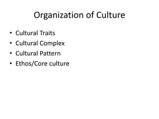 Overarching Culture Principles Organization of culture | PPTX