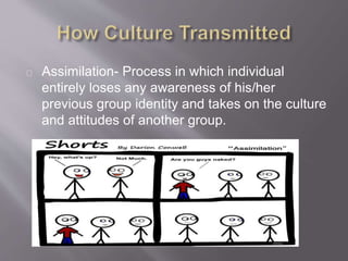 Organization of culture presentation | PPTX