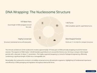 Dna Wrapping Organization of eukaryotic Nucleus, Nucleosomes.pptx