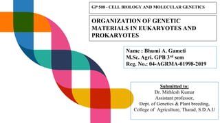 ORGANIZATION OF GENETIC
MATERIALS IN EUKARYOTES AND
PROKARYOTES
GP 508 - CELL BIOLOGY AND MOLECULAR GENETICS
Name : Bhumi A. Gameti
M.Sc. Agri. GPB 3rd sem
Reg. No.: 04-AGRMA-01998-2019
Submitted to:
Dr. Mithlesh Kumar
Assistant professor,
Dept. of Genetics & Plant breeding,
College of Agriculture, Tharad, S.D.A.U
 