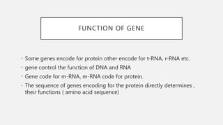 FUNCTION OF GENE
• Some genes encode for protein other encode for t-RNA, r-RNA etc.
• gene control the function of DNA and RNA
• Gene code for m-RNA, m-RNA code for protein.
• The sequence of genes encoding for the protein directly determines ,
their functions ( amino acid sequence)
 