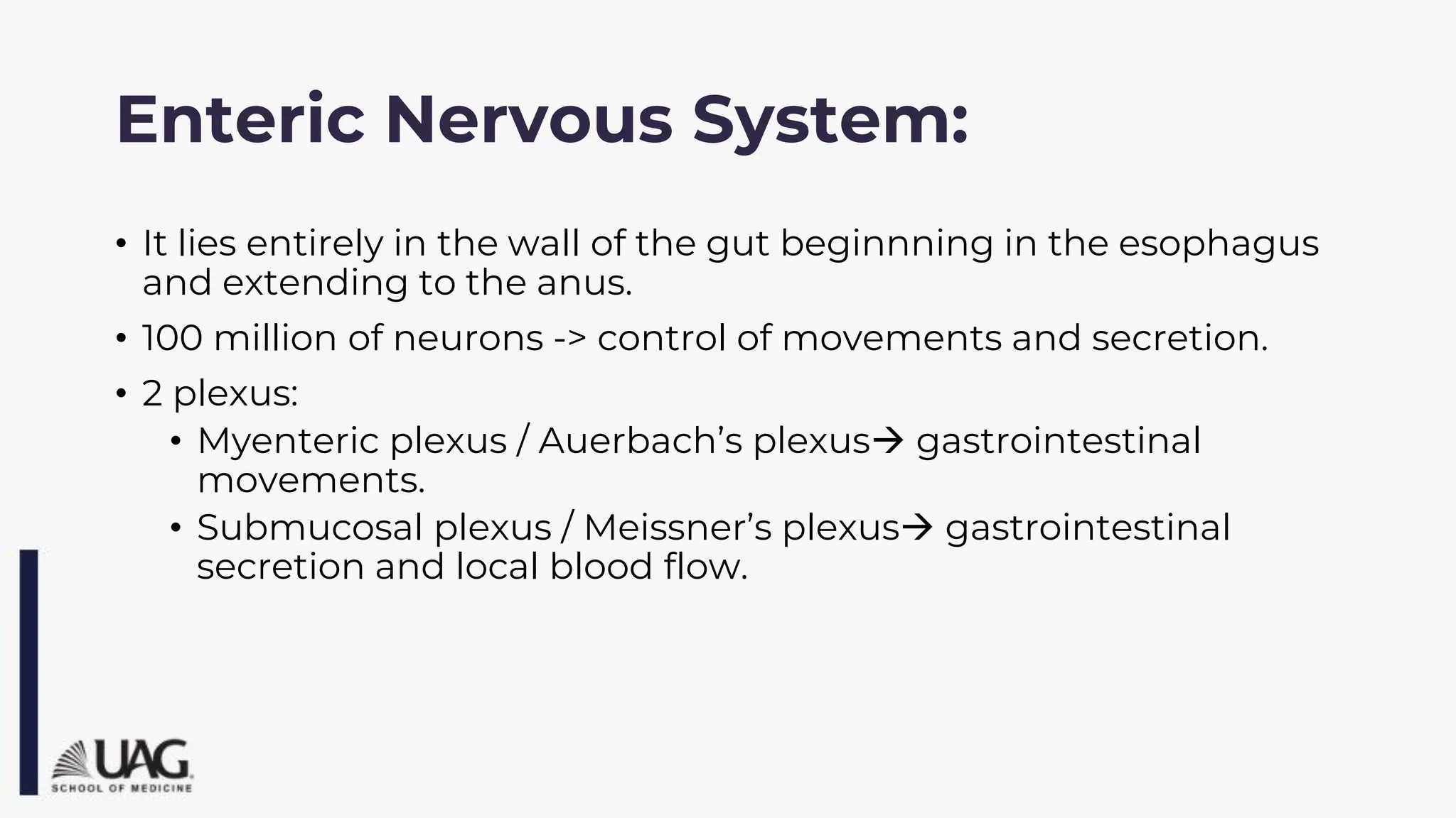 Enteric Nervous System:
• It lies entirely in the wall of the gut beginnning in the esophagus
and extending to the anus.
• 100 million of neurons -> control of movements and secretion.
• 2 plexus:
• Myenteric plexus / Auerbach’s plexus→ gastrointestinal
movements.
• Submucosal plexus / Meissner’s plexus→ gastrointestinal
secretion and local blood flow.
 
