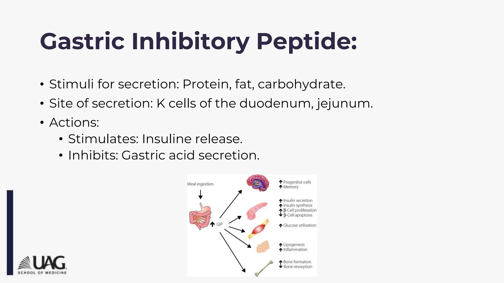 Gastric Inhibitory Peptide:
• Stimuli for secretion: Protein, fat, carbohydrate.
• Site of secretion: K cells of the duodenum, jejunum.
• Actions:
• Stimulates: Insuline release.
• Inhibits: Gastric acid secretion.
 