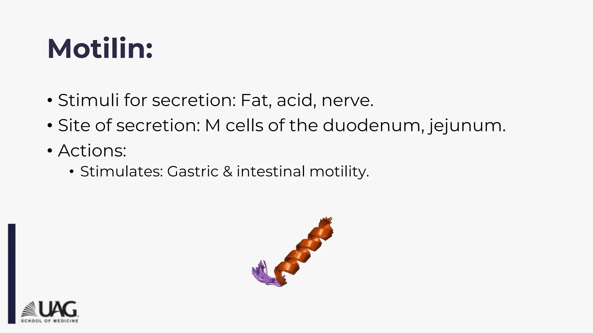 Motilin:
• Stimuli for secretion: Fat, acid, nerve.
• Site of secretion: M cells of the duodenum, jejunum.
• Actions:
• Stimulates: Gastric & intestinal motility.
 