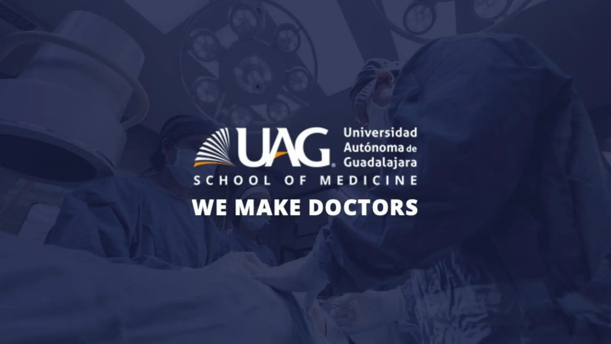 Organization of GI Tract 2024222222-2.pdf