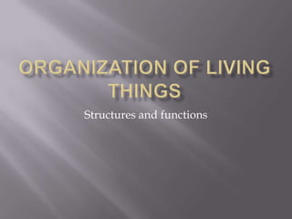 Organization of Living Things Structures and functions 