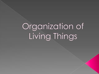 Organization of Living Things 